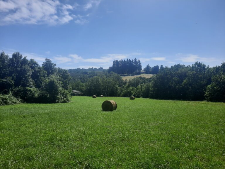 biens terrain a batir 6 · à Noailhac · 121 000 €